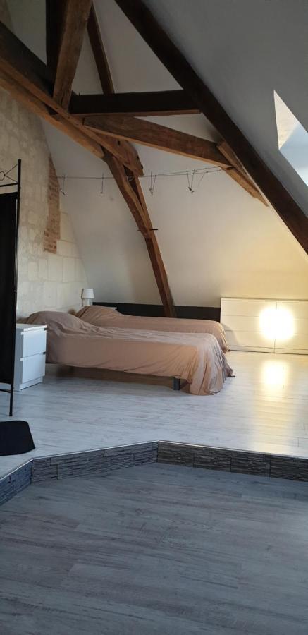 Bourgueil - Grand Appartement Proche Cnpe Chinon Eksteriør billede