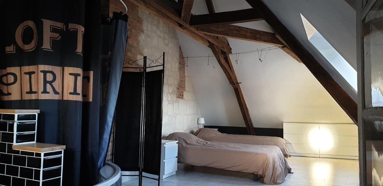 Bourgueil - Grand Appartement Proche Cnpe Chinon Eksteriør billede